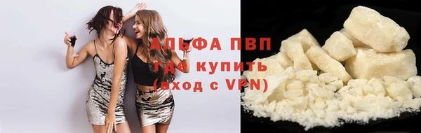 ГАЛЛЮЦИНОГЕННЫЕ ГРИБЫ Кукмор