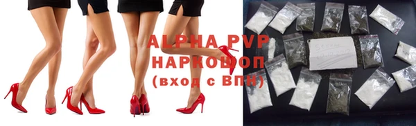 сатива Алзамай