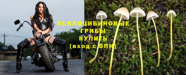 спиды Алексеевка