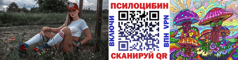 Псилоцибиновые грибы Psilocybine cubensis  Новокубанск 